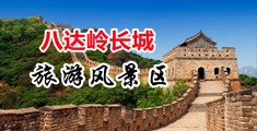 野战日b中国北京-八达岭长城旅游风景区